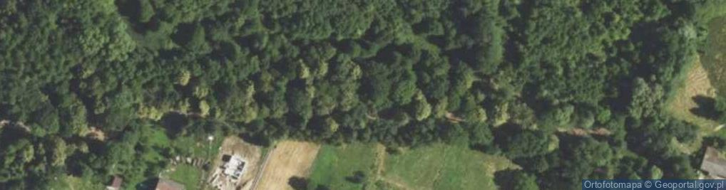 Zdjęcie satelitarne Główna ul.