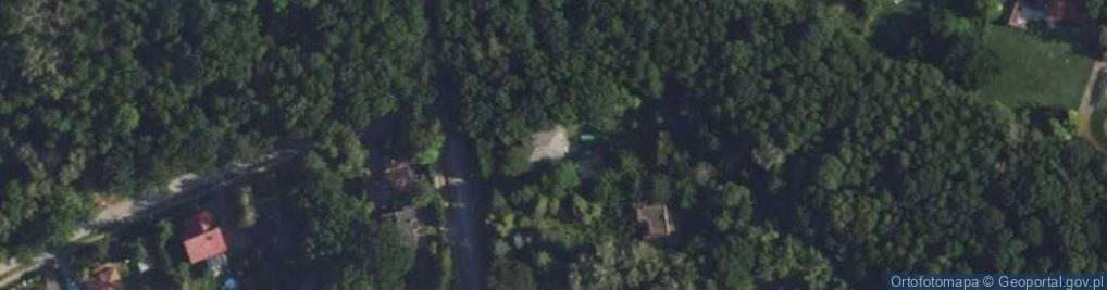 Zdjęcie satelitarne Główna ul.
