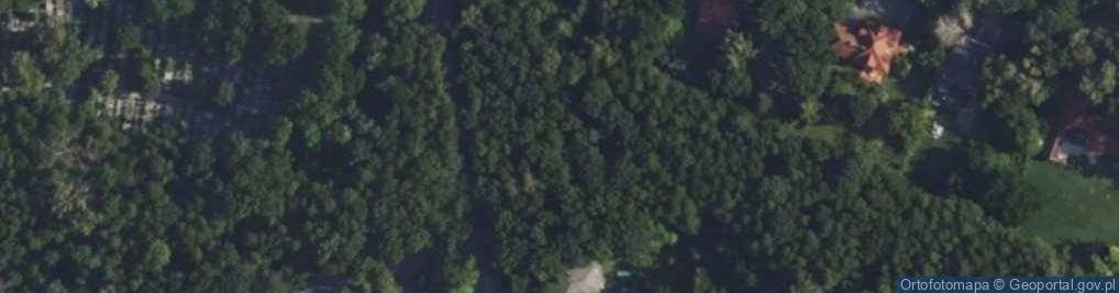 Zdjęcie satelitarne Główna ul.