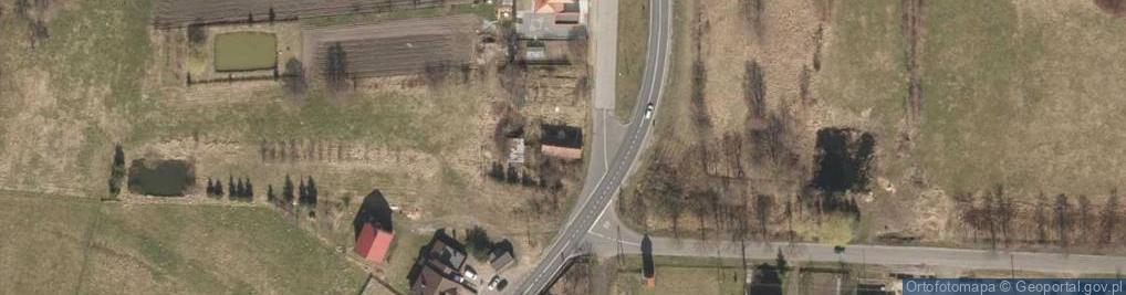 Zdjęcie satelitarne Głogowska ul.