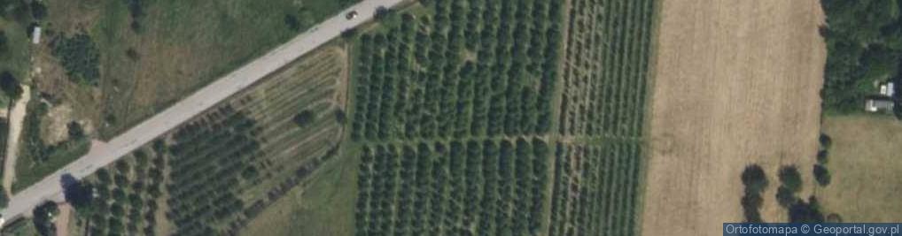 Zdjęcie satelitarne Główna ul.