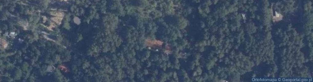 Zdjęcie satelitarne Główna ul.