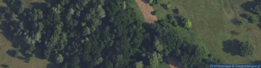 Zdjęcie satelitarne Główna ul.