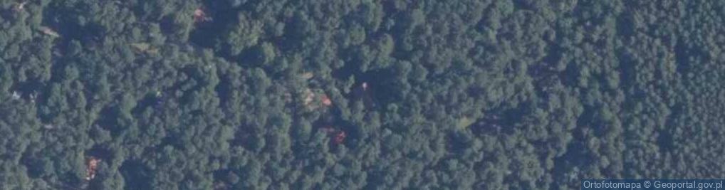 Zdjęcie satelitarne Głowackiego ul.