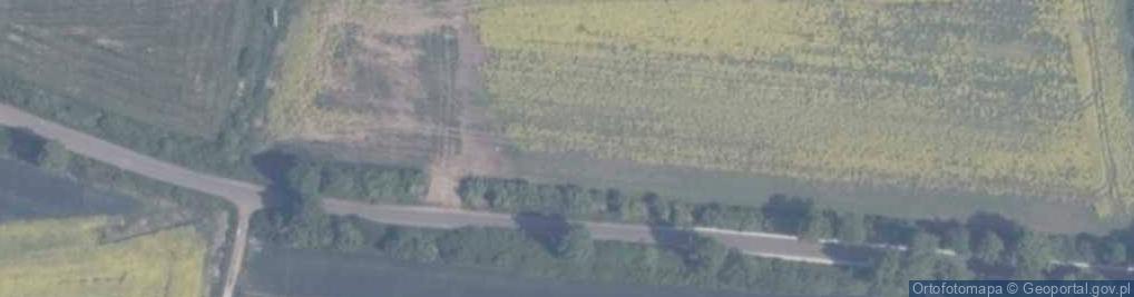 Zdjęcie satelitarne Gnojewo ul.