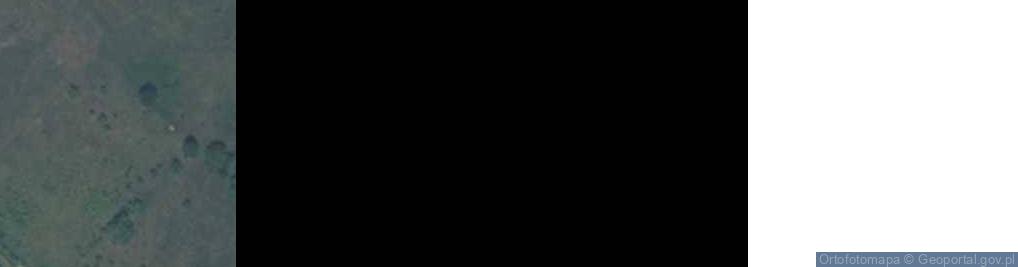 Zdjęcie satelitarne Gościnna ul.