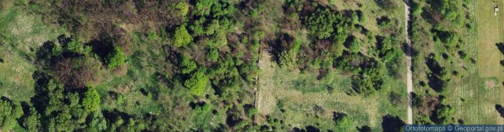 Zdjęcie satelitarne Gościnna ul.