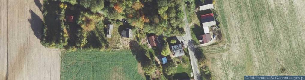 Zdjęcie satelitarne Gola ul.