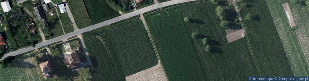 Zdjęcie satelitarne Gołąb-Kolonia ul.