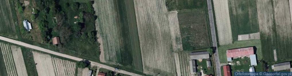 Zdjęcie satelitarne Gołąb-Kolonia ul.
