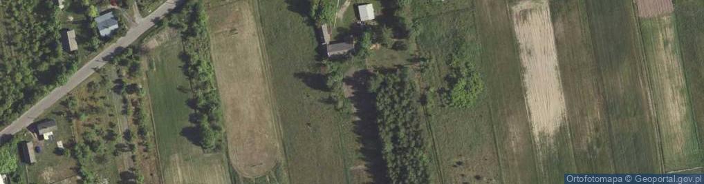 Zdjęcie satelitarne Gołąb ul.