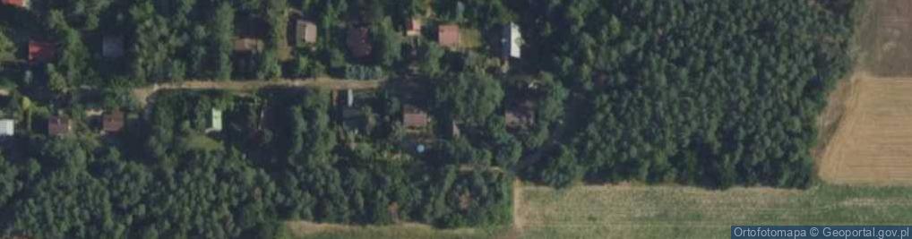Zdjęcie satelitarne Goławice Pierwsze ul.
