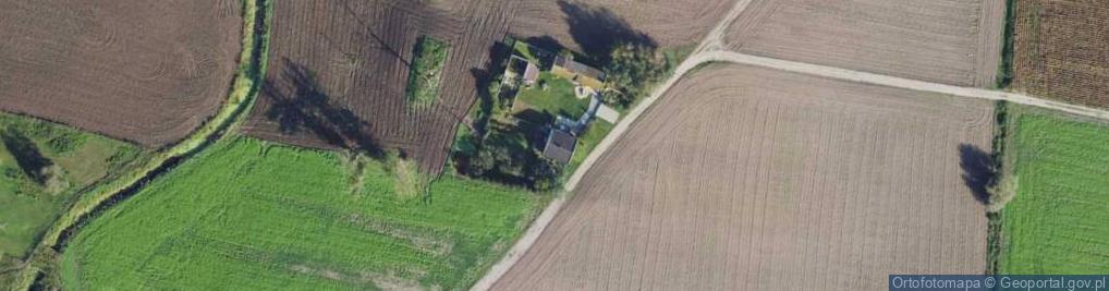 Zdjęcie satelitarne Gołębiew Nowy ul.