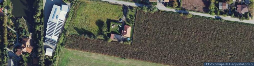 Zdjęcie satelitarne Gołębiew Nowy ul.