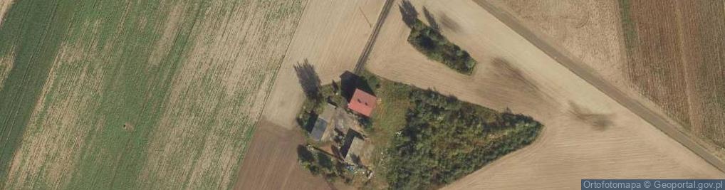 Zdjęcie satelitarne Gołębin-Parcele ul.