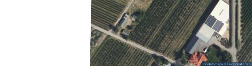 Zdjęcie satelitarne Goliany ul.