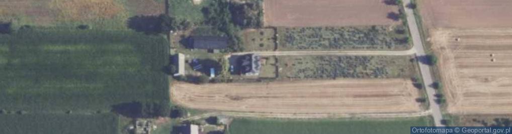 Zdjęcie satelitarne Goliaty ul.