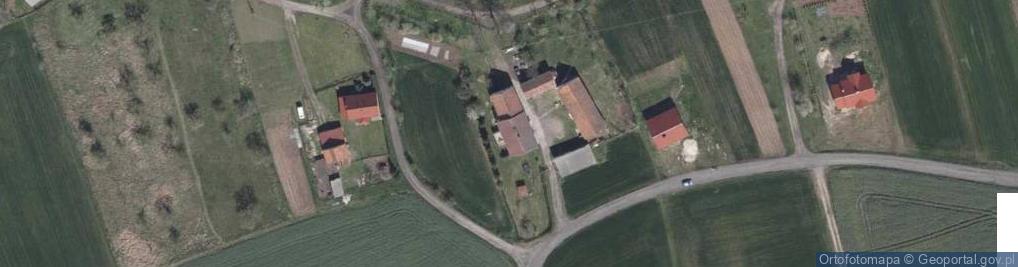 Zdjęcie satelitarne Goliszów ul.