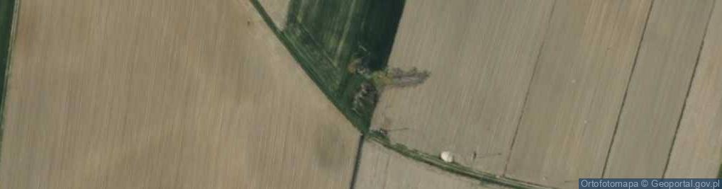 Zdjęcie satelitarne Golków ul.