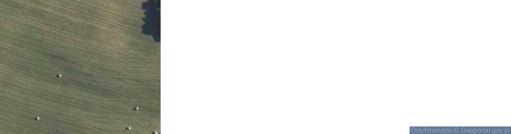 Zdjęcie satelitarne Golubie ul.