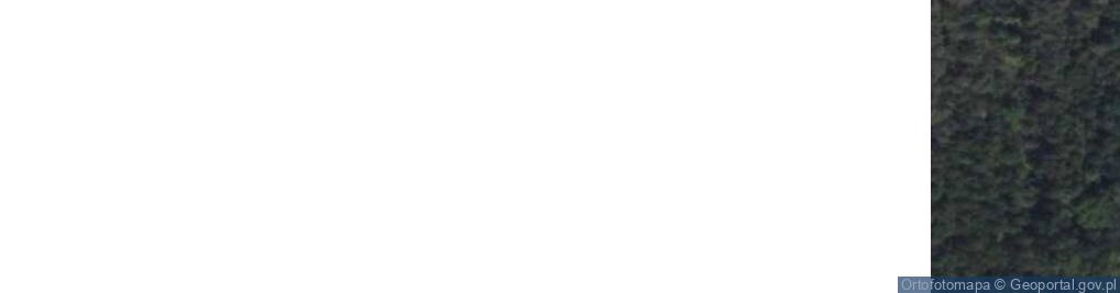 Zdjęcie satelitarne Gołubowszczyzna ul.