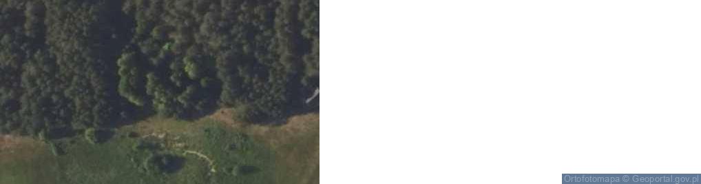 Zdjęcie satelitarne Gołubowszczyzna ul.