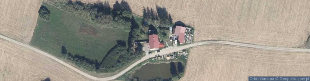 Zdjęcie satelitarne Gołunin ul.