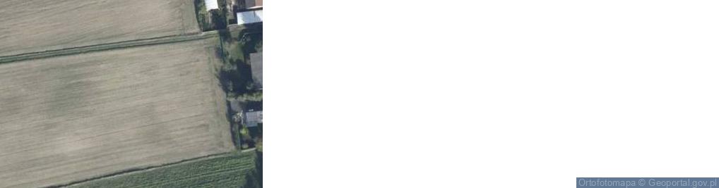 Zdjęcie satelitarne Goniembice ul.