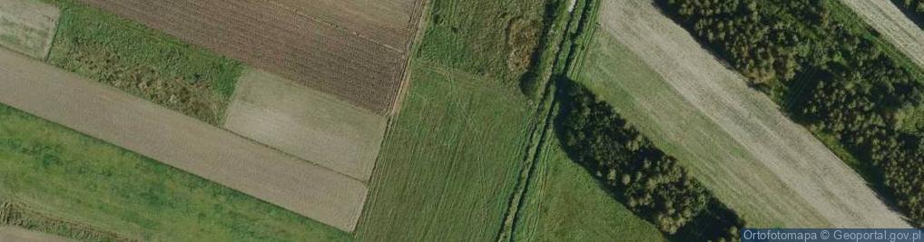 Zdjęcie satelitarne Góra Motyczna ul.