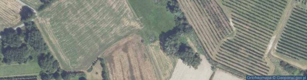 Zdjęcie satelitarne Góra Świętego Jana ul.