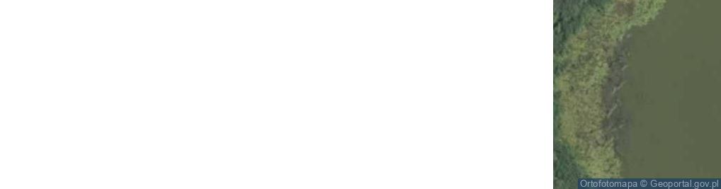 Zdjęcie satelitarne Gorczyce ul.