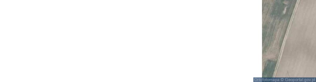 Zdjęcie satelitarne Goryń ul.