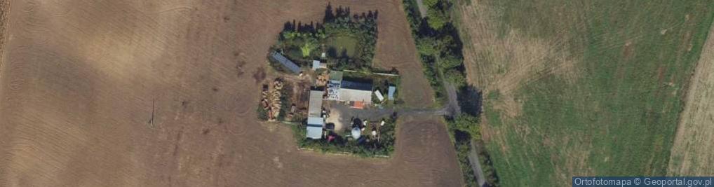 Zdjęcie satelitarne Goryń ul.