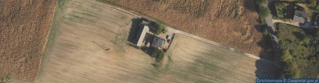 Zdjęcie satelitarne Górzno-Wybudowanie ul.