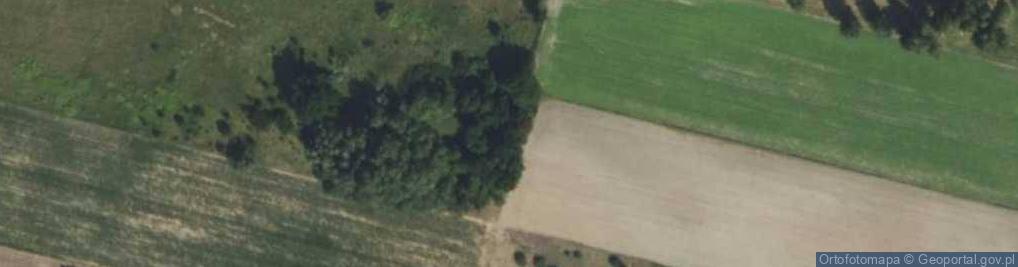 Zdjęcie satelitarne Gościeńczyce ul.