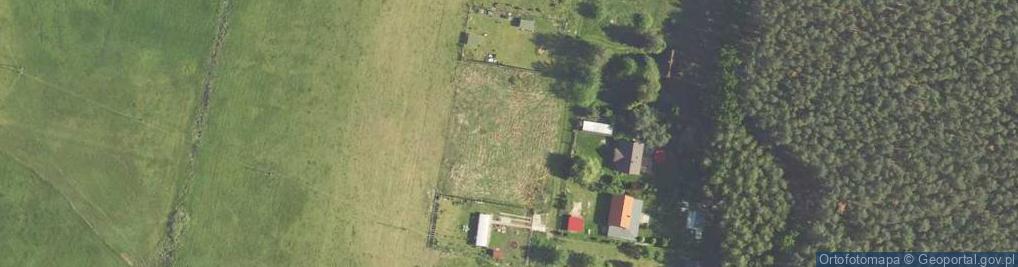 Zdjęcie satelitarne Gościm ul.