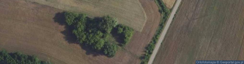 Zdjęcie satelitarne Gościmin Wielki ul.