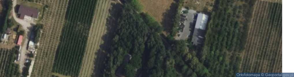 Zdjęcie satelitarne Gośniewice ul.