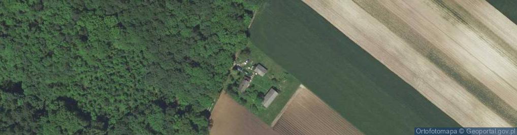 Zdjęcie satelitarne Goszyce ul.