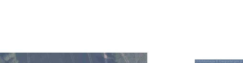 Zdjęcie satelitarne Goszyn ul.