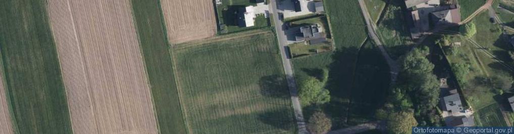 Zdjęcie satelitarne Goplany ul.