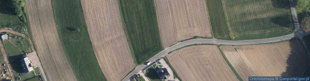 Zdjęcie satelitarne Goplany ul.