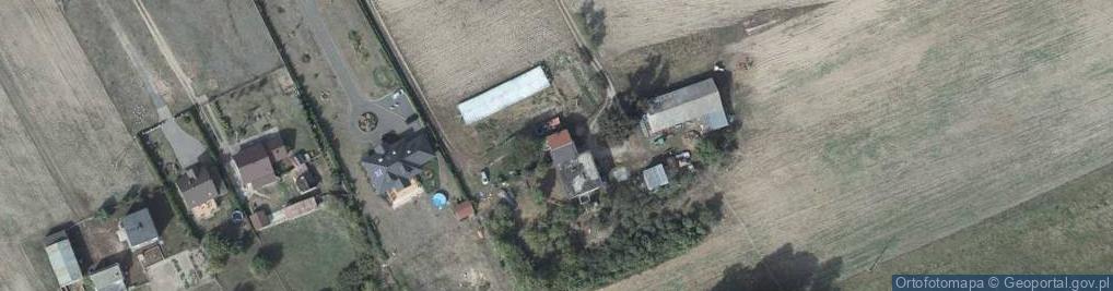 Zdjęcie satelitarne Golubska ul.
