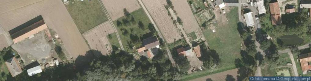 Zdjęcie satelitarne Gołocin ul.