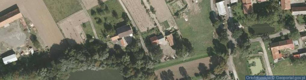 Zdjęcie satelitarne Gołocin ul.