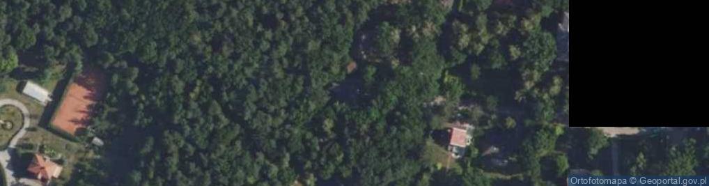 Zdjęcie satelitarne Gołębia ul.