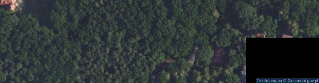 Zdjęcie satelitarne Gołębia ul.