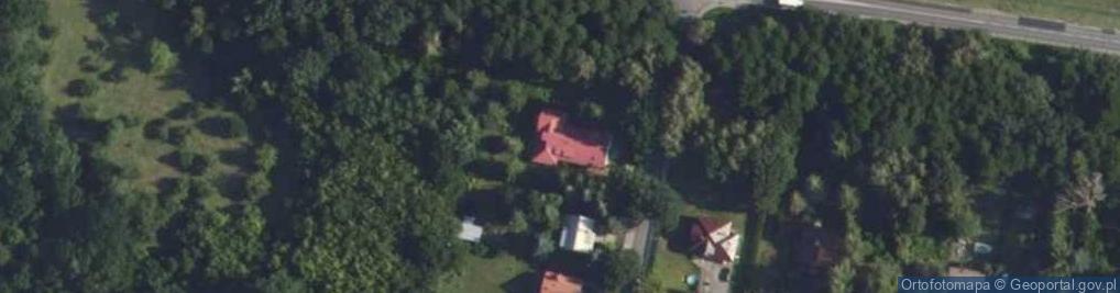 Zdjęcie satelitarne Gołębia ul.