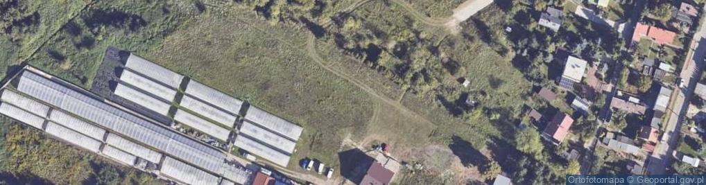 Zdjęcie satelitarne Goplany ul.