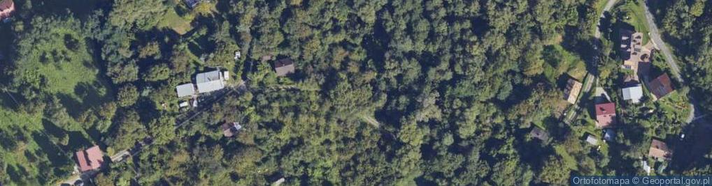 Zdjęcie satelitarne Gołębia ul.